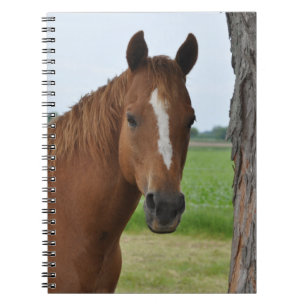 Häst Anteckningsbok Med Spiral