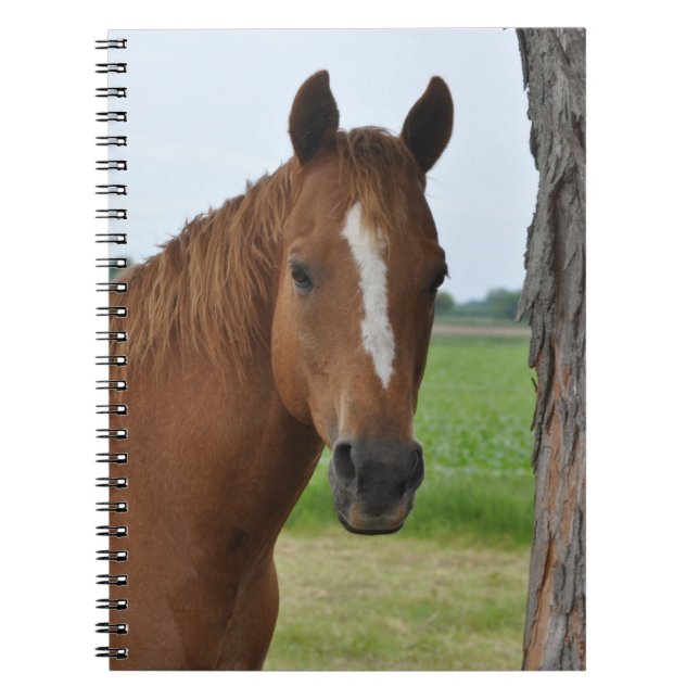 Häst Anteckningsbok Med Spiral (Framsidan)