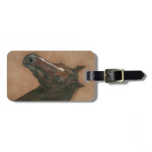 Häst bild av bruna häst från kastanjen