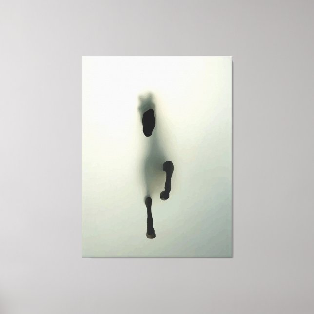 Häst bryter genom dimma canvastryck (Framsida)