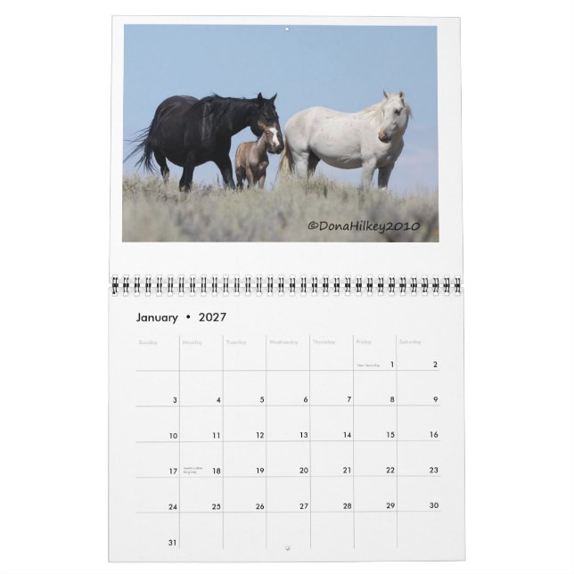 Häst Calander för Sandtvättställvild Kalender (Jan 2027)