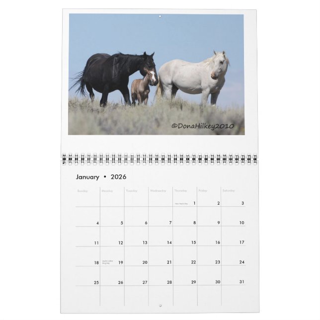 Häst Calander för Sandtvättställvild Kalender (Jan 2026)