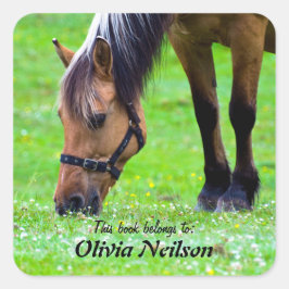 Häst "Detta bok tillhör till ..." Klistermärke