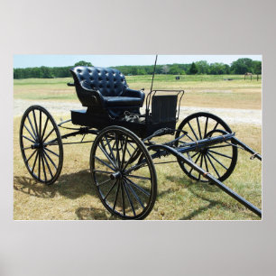 Häst-dragen doktor buggy poster