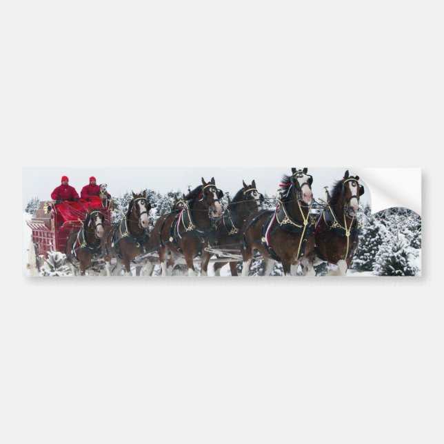 Häst dragen släde åktur bildekal (Framsidan)