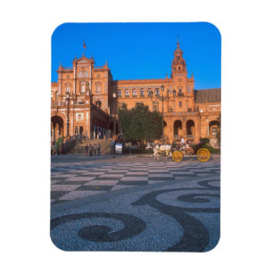 Häst dragen vagn på Plaza de Espana i Magnet