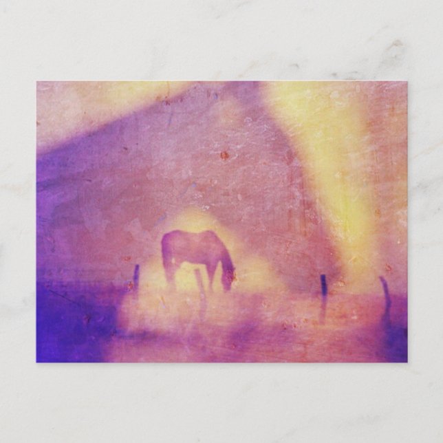 Häst Drömmar av Angelandspot Vykort (Framsida)