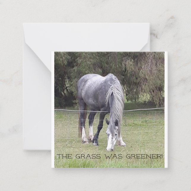 Häst, ett staket! anteckningskort (Framsida)