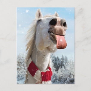 Häst fångar snöflingor inbjudan vykort