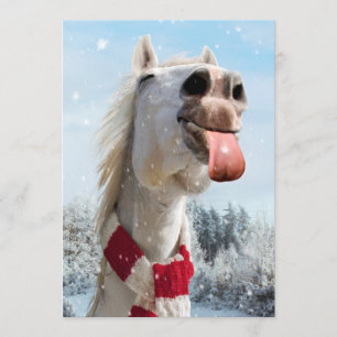 Häst fångar snöflingor inbjudningar