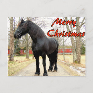 Häst glada Christmas.jpg Helg Vykort