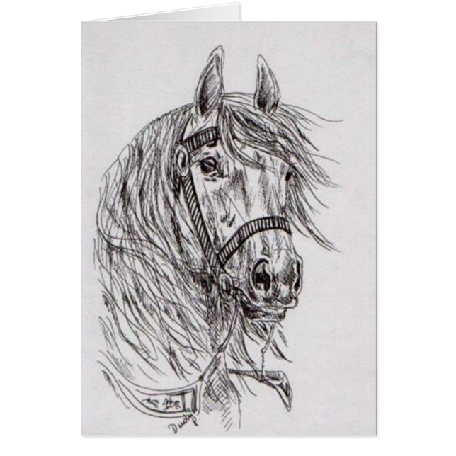häst hälsningskort (Framsidan)