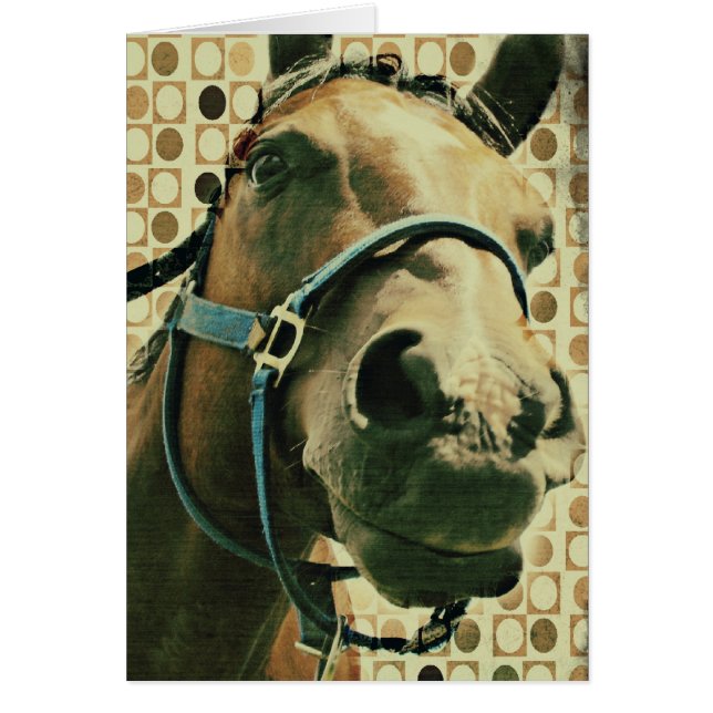 Häst Hälsningskort (Framsidan)