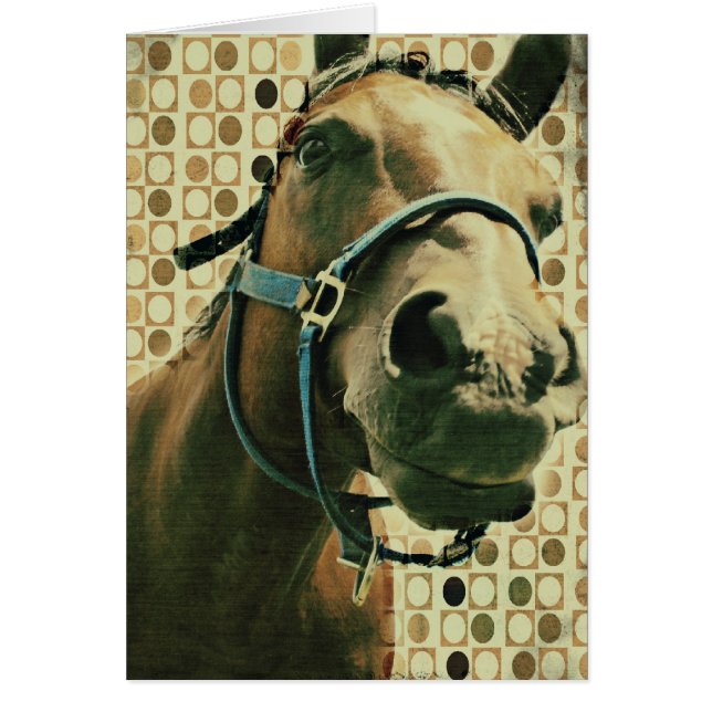 Häst Hälsningskort (Framsidan)