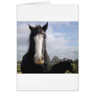 Häst Hälsningskort