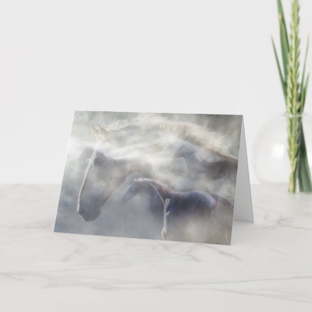 Häst-/hästsjukförsäkringskort Kort (Framsida)