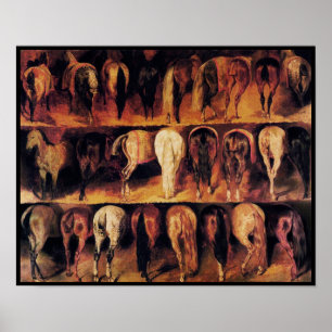 Häst Hindquarters Poster