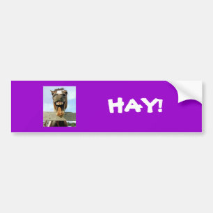 häst HÖ! Bildekal
