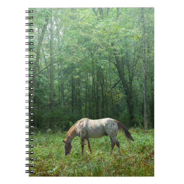 Häst i äng anteckningsbok (Framsidan)