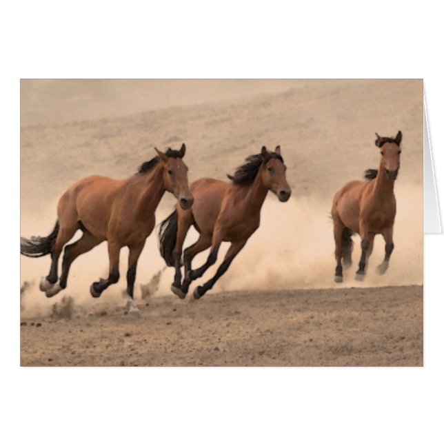 Häst i höns II Hälsningskort (Framsidan Horizontal)