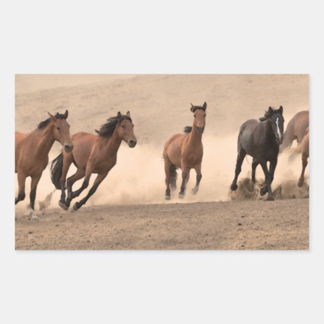 Häst i höns II Rektangulärt Klistermärke (Framsida)