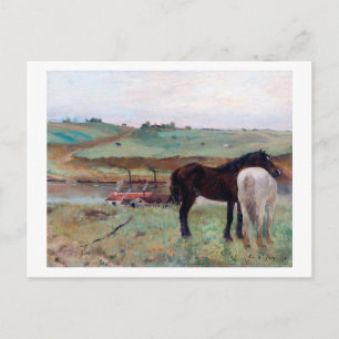 Häst i Meadow, Edgar Degas Vykort