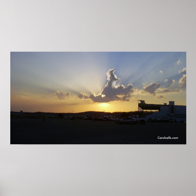 Häst i moln, Carolcells.com Poster (Framsidan)