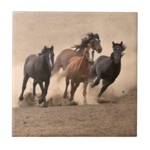 Häst i nedgång II Kakelplatta