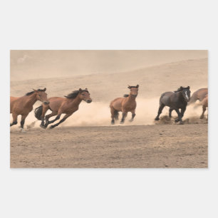 Häst i nedgång II Rektangulärt Klistermärke