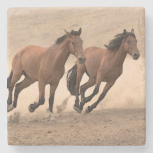 Häst i nedgång II Underlägg Sten