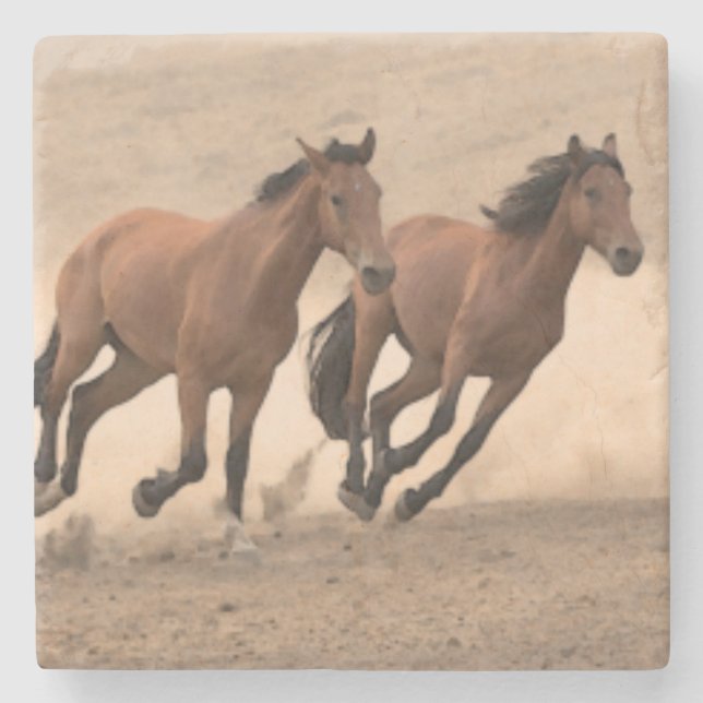 Häst i nedgång II Underlägg Sten (Framsidan)