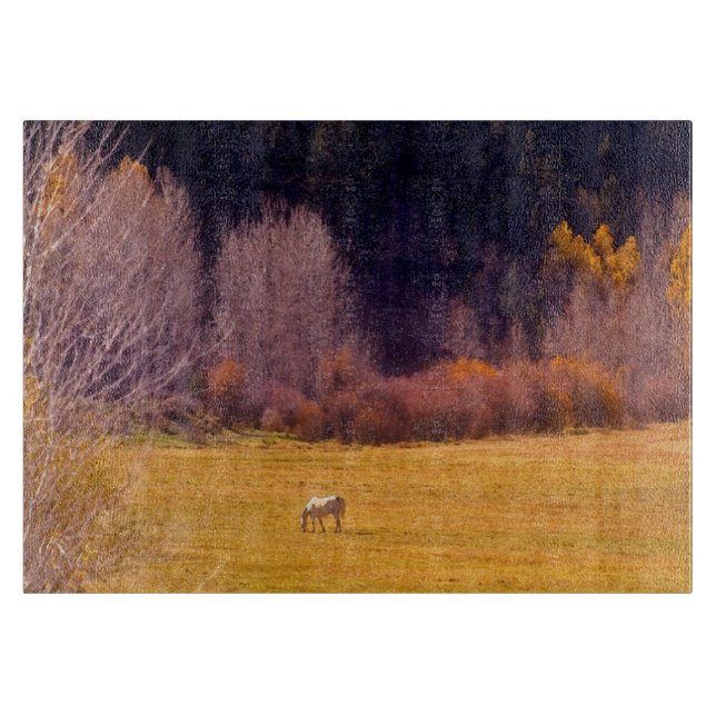 Häst i nedgång mig (Framsidan)