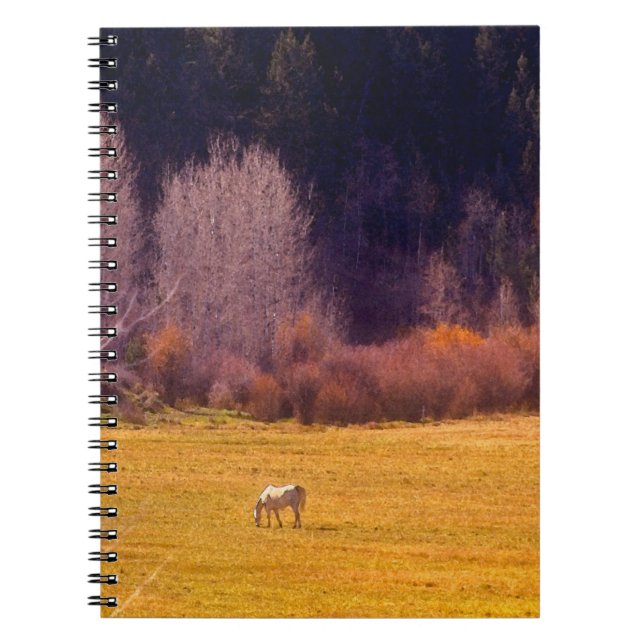 Häst i nedgång mig anteckningsbok med spiral (Framsidan)