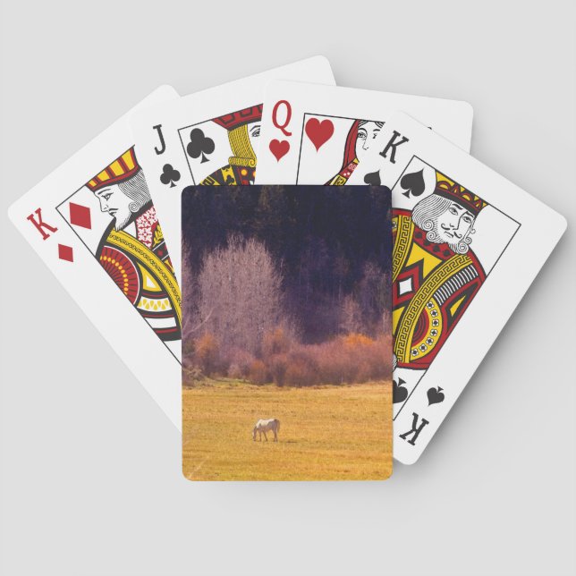 Häst i nedgång mig casinokort (Baksidan)