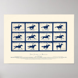 Häst i Rörelse - Sallie Gardner vid en gallop Poster