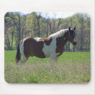 Häst i vildblommarna musmatta