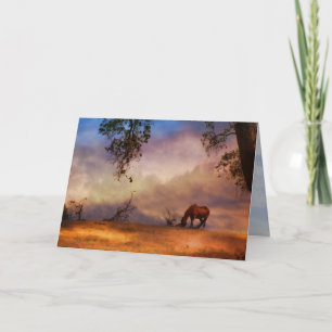 Häst i Vinden Sympathy Card Kort