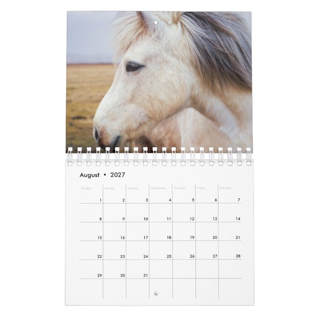 Häst Kalender (Aug 2027)