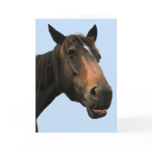 Häst