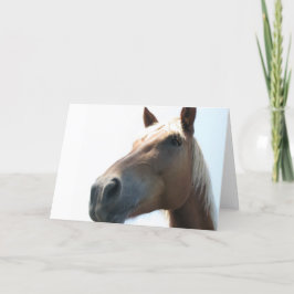 Häst Kort