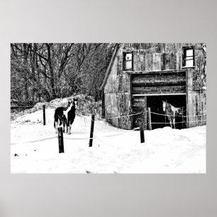 Häst-Ladugård-BW Poster