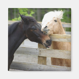 Häst Lovin Magnet