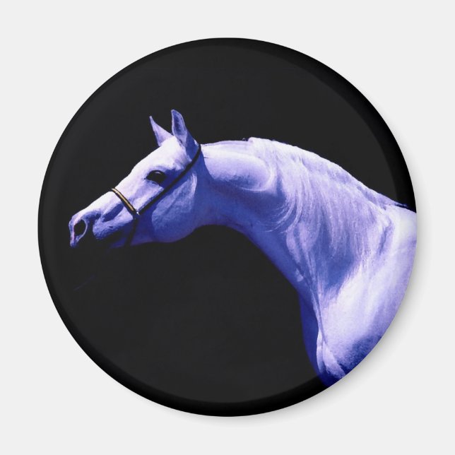 Häst Magnet (Framsidan)