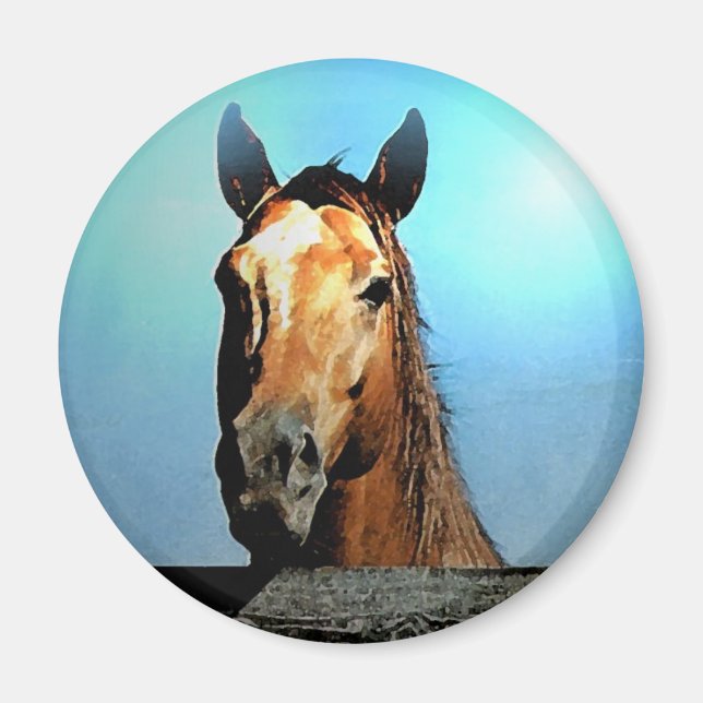 Häst Magnet (Framsidan)