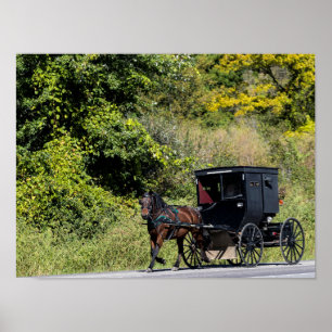 Häst med Buggy i Amish Land Poster