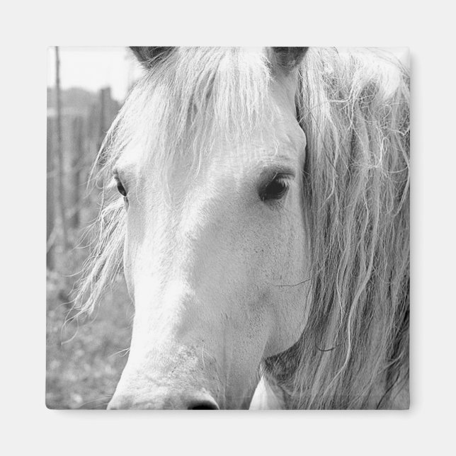 Häst med gräs magnet (Framsidan)