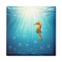 Häst med hjärtbubblor