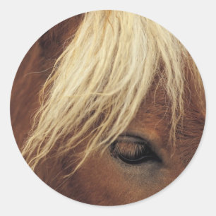 Häst med White Mane Runt Klistermärke