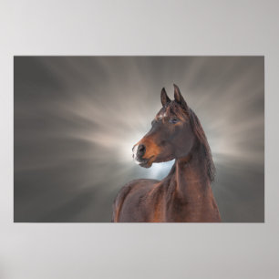 Häst mot moln poster