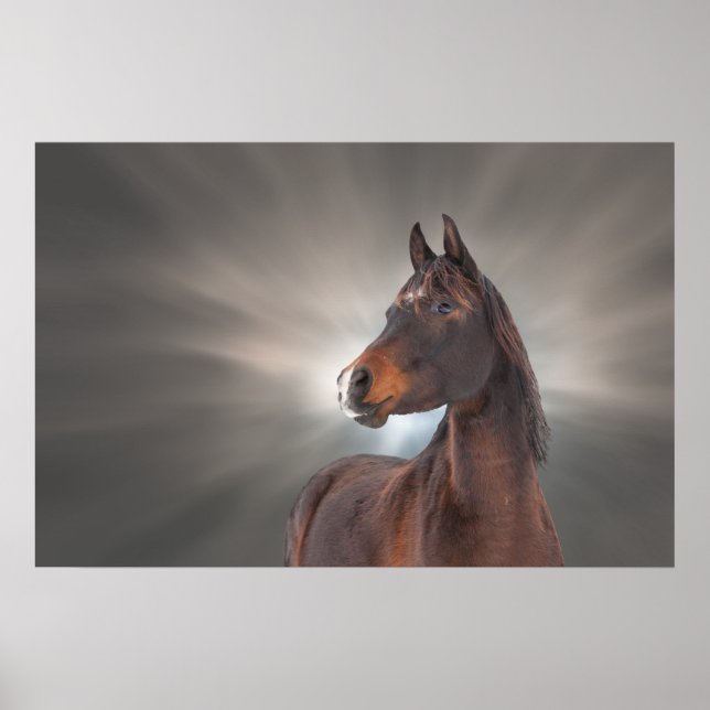 Häst mot moln poster (Framsidan)